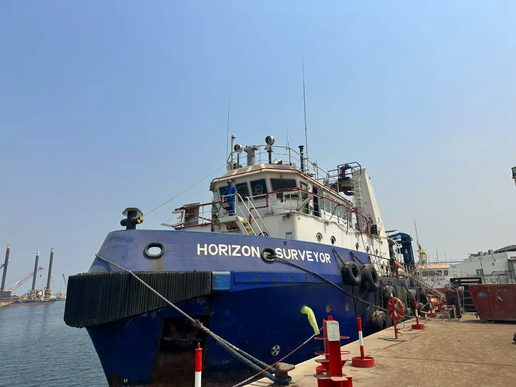 HORIZON SURVEYOR